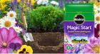 Miracle-Gro Magic Start